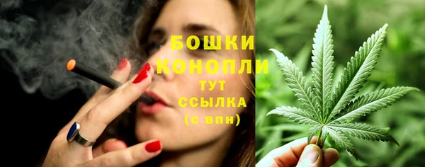 МДПВ Бородино