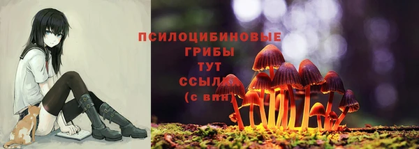 трава Бронницы