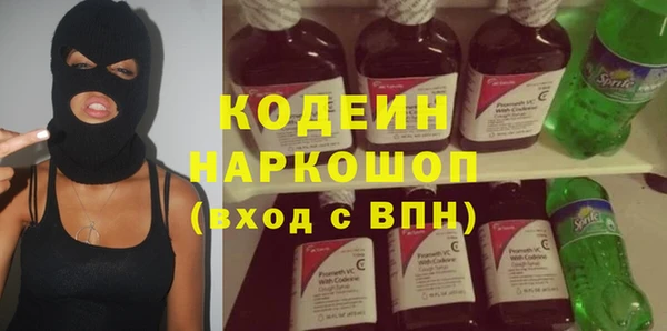 МДПВ Бородино
