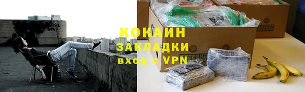 МДПВ Бородино