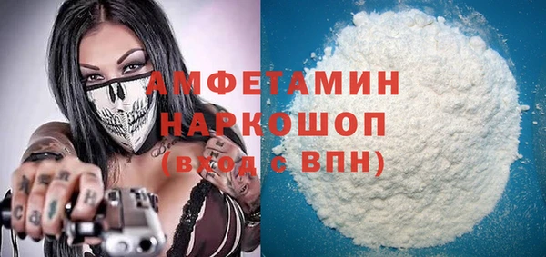 МДПВ Бородино