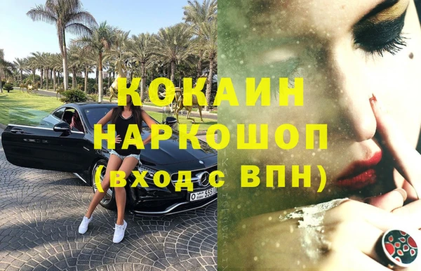 МДПВ Бородино