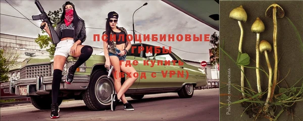 МДПВ Бородино
