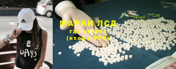МДПВ Бородино