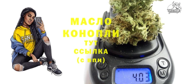 МДПВ Бородино