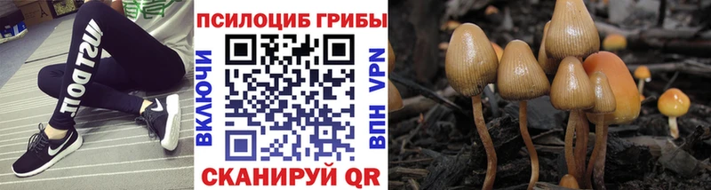 Псилоцибиновые грибы MAGIC MUSHROOMS  что такое   Октябрьский 